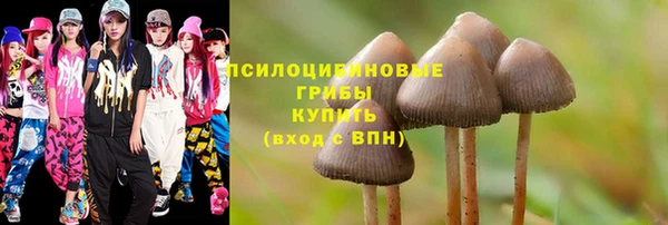 винт Армянск
